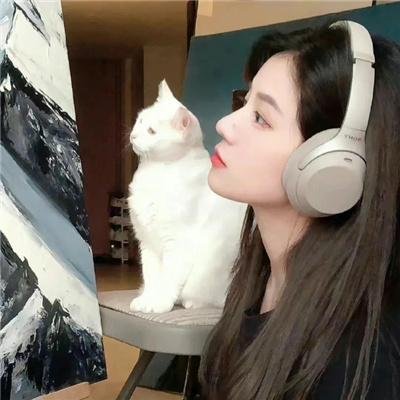 陪月 在线观看